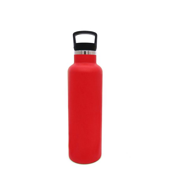 stainless steel water bottles insulated